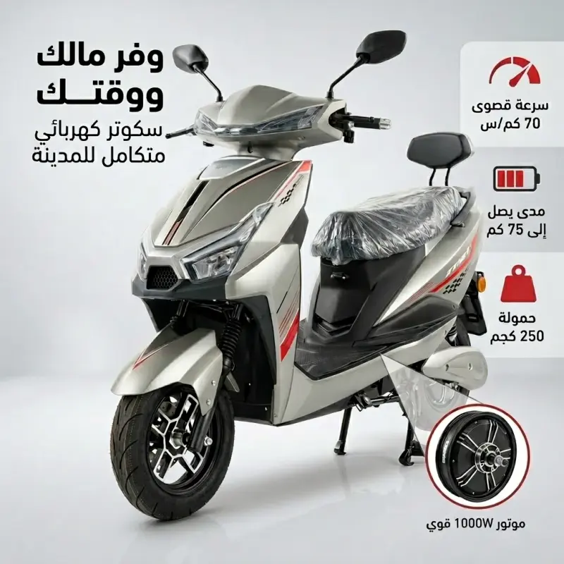 Scooter électrique urbain 1000 W