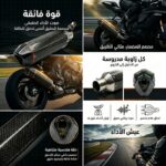 Silencieux Echappement Moto Style Carbone Hexagonal - Image 2 - ALGA MOTO